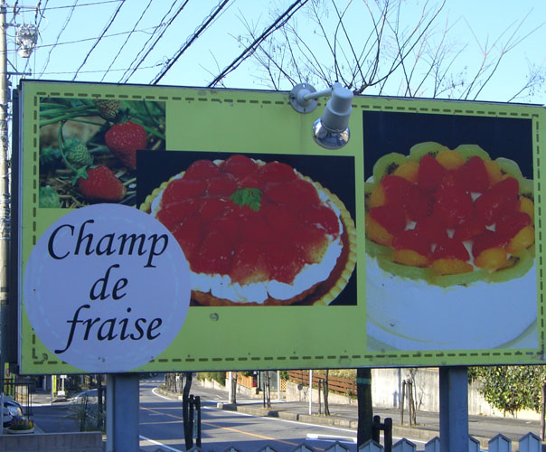 champ_de_fraise